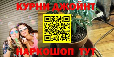 прущие грибы Бузулук